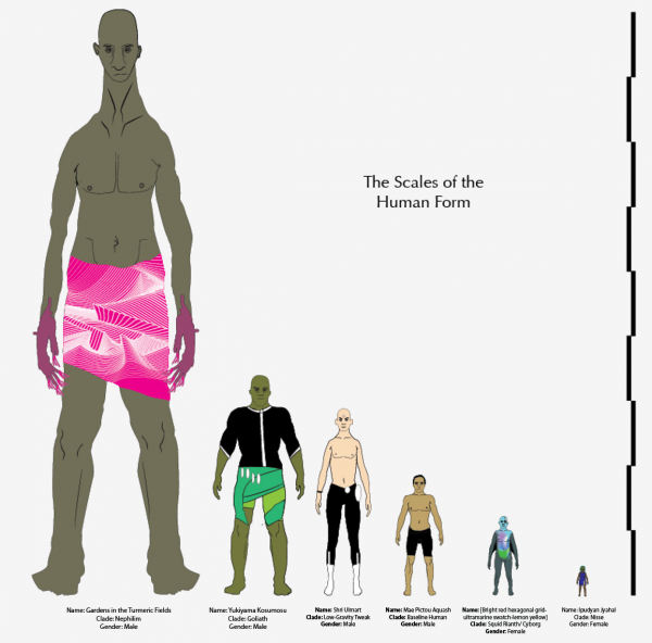 Human Size Comparison